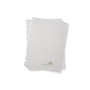 Three translucent notebook covers stacked in a fan on a white background